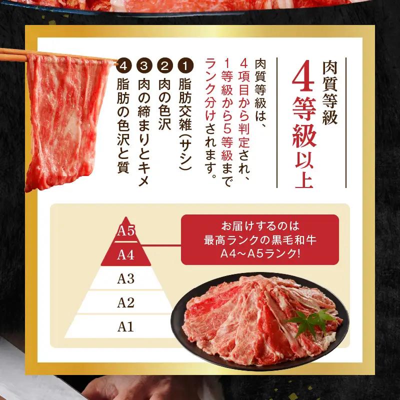 S001-001-T06A_【定期便6回】A4～A5等級 黒毛和牛切り落とし1kg（500g×2P）6か月連続お届け / 【定期便】 6回 ミシュランビブグルマン 獲得 黒毛和牛 切り落とし 500g