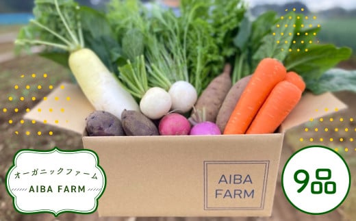【栽培期間中農薬不使用】農家直送！季節の新鮮野菜「９品」詰め合わせセット オーガニックファーム AIBA FARM TML001 / 野菜セット 無農薬 野菜 千葉県 富里市 直送野菜 お野菜セット 旬野菜 季節野菜 農家直送 採れたて とれたて やさい 詰め合わせ セット ヤサイ  旬の野菜 季節の野菜 産地直送 詰め合わせ おまかせ 新鮮 オーガニック 農薬不使用