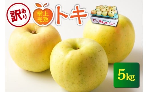 【2025年10月発送】【樹上完熟】訳あり 青森りんごトキ(5kg)