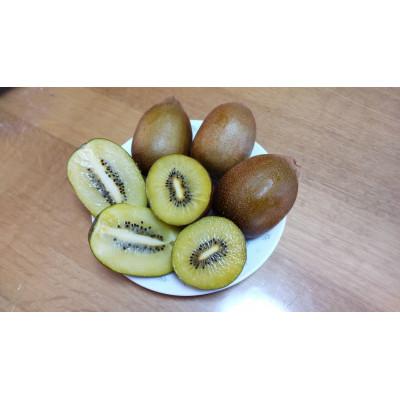 ふるさと納税 長瀞町 東京ゴールド(キウイフルーツ)3kg |  | 01