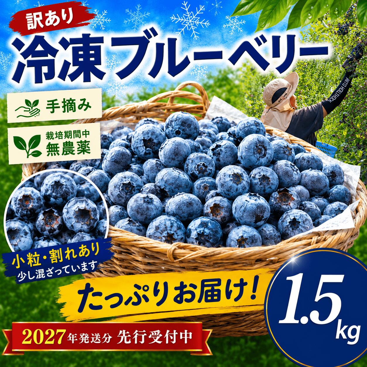 【ふるさと納税】〈訳あり〉 ブルーベリー 冷凍 約1.5kg 冷凍ブルーベリー 【来季 2027年7月以降順次発送】 先行予約 ぶるーべりー 冷凍フルーツ 国産 産地直送 果物 フルーツ くだもの 完熟 お取り寄せ 10000円 1万円 訳アリ 訳有 訳有り おすすめ 千葉県 香取市 SBF001