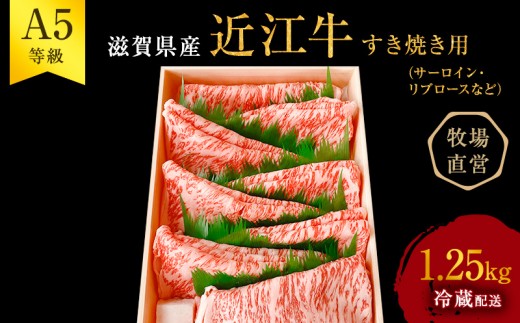 
                  【最短1週間発送】 A5 近江牛 すき焼き肉 すき焼き 肉 牛肉 雌牛 ステーキ サーロイン リブロース等 約1.25kg 黒毛和牛 すきやき すき焼き用 お肉 牛 和牛 ブランド牛 滋賀県 豊郷町
                