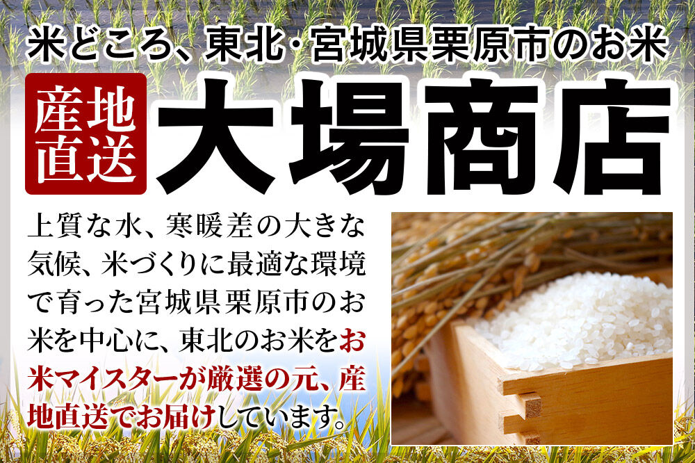 【令和7年産・白米】宮城県栗原市産 ひとめぼれ 5kg (5kg×1袋) [大場商店 お米 精米 ブランド米]
