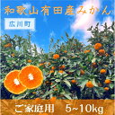 【ふるさと納税】 ≪先行受付≫ご家庭用 和歌山 有田みかん　※11月15日～1月15日に順次発送　※北海道・沖縄・離島への配送不可 / みかん 有田みかん 家庭用