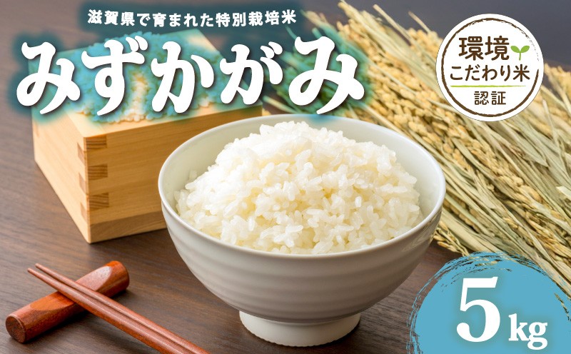 
                  令和7年産 みずかがみ 白米 5kg 【ファームわたむき】 [WS005_R7] 米 お米 白米 米 精米 白米 はくまい こめ ミズカガミ 米 5kg 精米 ブランド米 国産 滋賀県産 日野町産
                