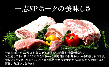 豚肉 一志SPポーク とんかつ・ステーキ用 国産 豚肉【ロース約120g×4枚】【冷凍】