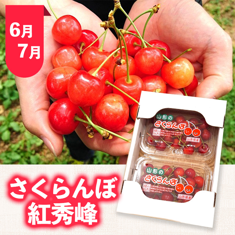 【定期便5回】おいしい！ジューシー！山形フルーツ バラエ