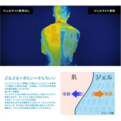 ふるさと納税 河内長野市 涼感ジェルマットECO ミニ(R280) |  | 01