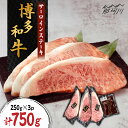 【ふるさと納税】博多和牛 サーロインステーキ 約750g（250g×3枚）自家製ジャポネソース付き＜株式会社くしだ企画＞那珂川市 [GZI009] 50000 50000円