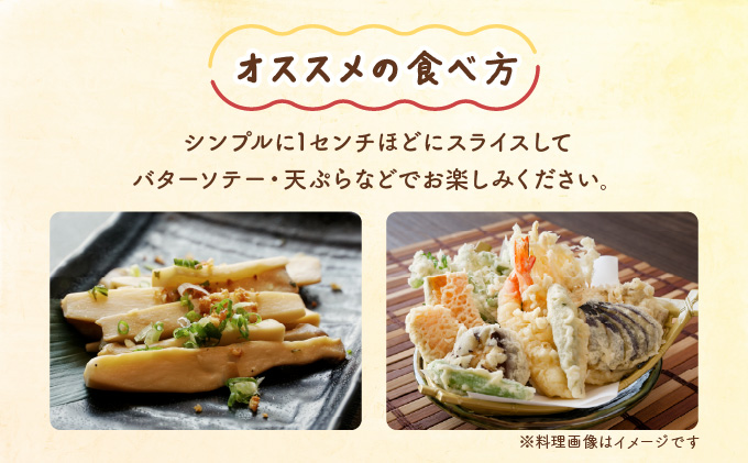 珍しいきのこ ゆきれいたけ AT19