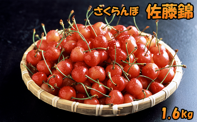 北海道 仁木町産 さくらんぼ 佐藤錦 1.6kg（200g×8パック） 美味しい 人気 おすすめ お裾分け サクランボ チェリー フルーツ 果物 果物類 ギフト 仁木町 仁木 [JA新おたる]