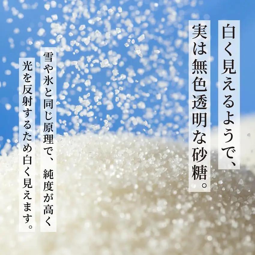 【8月20日で受付終了】北海道産 上白糖 20kg ( 1kg × 20袋 ) 