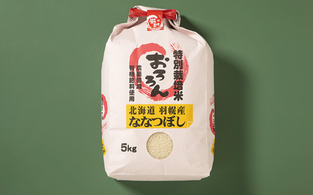 【令和5年産】【定期便：3回】令和5年産　北海道羽幌産特別栽培米ななつぼし5kg【08127】