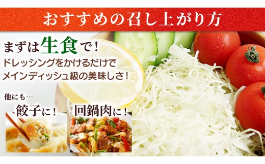 【7月中旬発送開始】訳あり まぼろしの419キャベツ 4玉 きゃべつ 嬬恋村産キャベツ 羽生田売店 幻のキャベツ419 産地直送 期間限定 人気 朝採り 通販 お取り寄せ 関東 群馬 出荷時期限定 ZIP! 先行予約 [AL006tu]