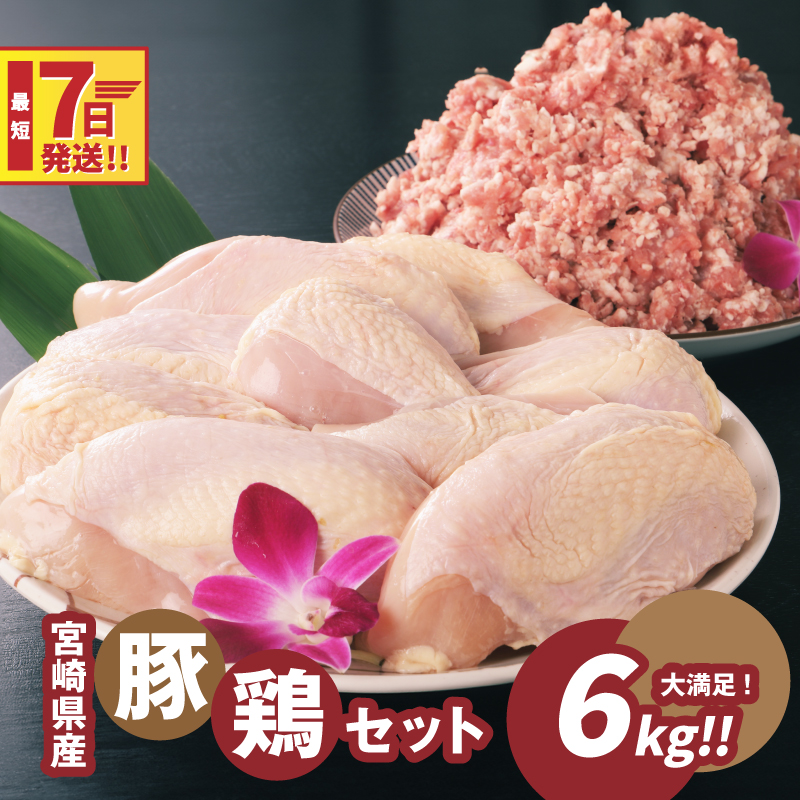 宮崎県産豚・鶏6kgセット K16_0028_2