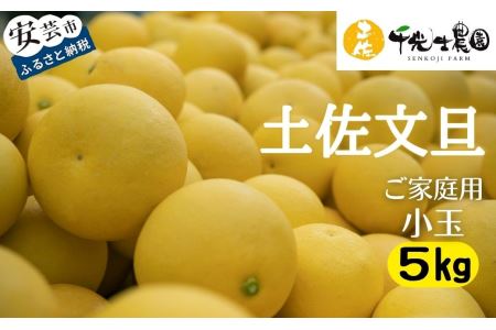 【 柑橘 】 柑橘 土佐文旦 5kg