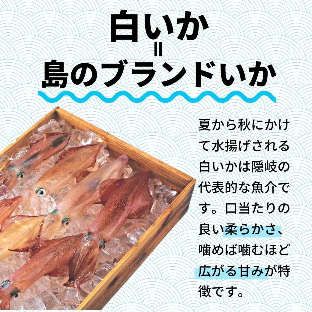 白いか 160g×3杯セット イカ