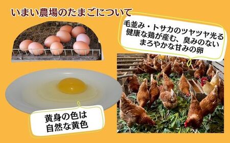 BQ3　いまい農場の 平飼い 有精卵　20個　【 赤玉 たまご タマゴ 玉子 平飼い 国産 こだわり 受賞 兵庫県 宍粟市 しそうし】