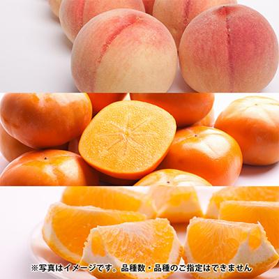 ふるさと納税 和歌山市 【発送月固定定期便】フルーツ定期便A【フルーツ定期便】【和歌山県有田】全6回 |  | 03