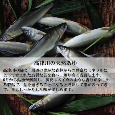 ふるさと納税 吉賀町 高津川天然あゆ冷凍　500g(吉賀町) |  | 02