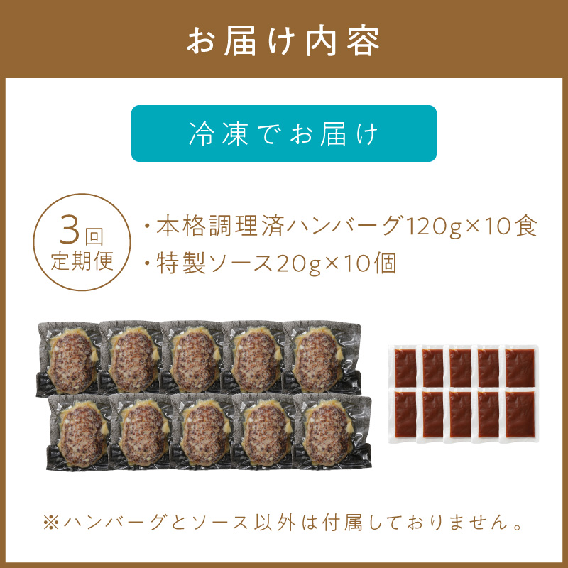 【3回定期便】本格調理済ハンバーグ10食 特製ソース付【001-0377】