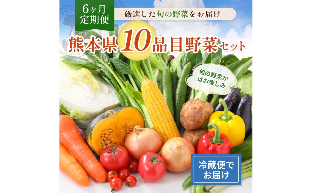 
            【 6ヶ月 連続 定期便 】 熊本県 10品目 野菜 セット 6ヶ月 定期便 フレッシュ 新鮮 野菜 青果 サラダ おまかせ お任せ 厳選 お楽しみ ランダム 冷蔵
          