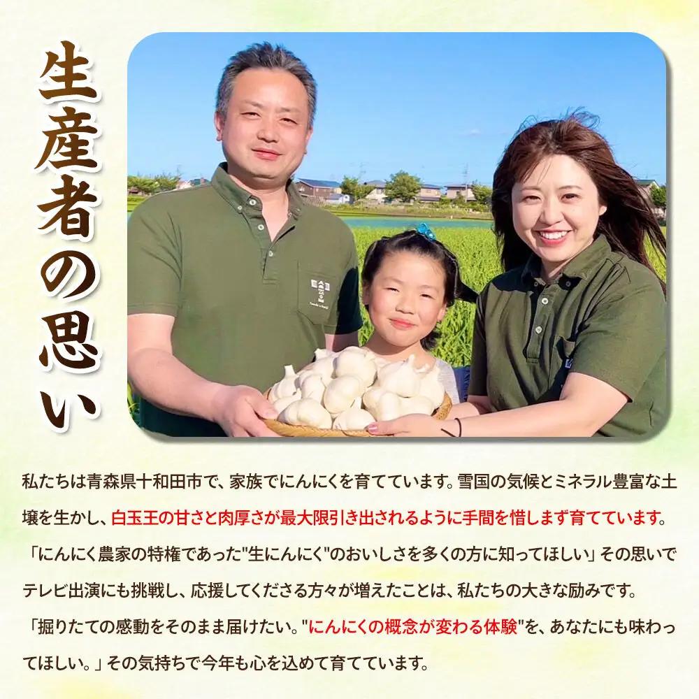 【2027年収穫分】先行受付【テレビ紹介】青森 幻の生にんにく30玉（農家直送・収穫期だけの限定品） 青森にんにくファーム