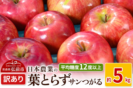 りんご 【先行受付】平均糖度12度以上！ 葉とらずサンつがる 約5kg 訳あり