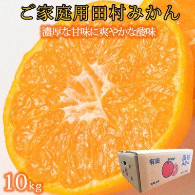 【2026年11月下旬より発送】【日高町】【ご家庭用訳あり】田村みかん　10kg【1217357】