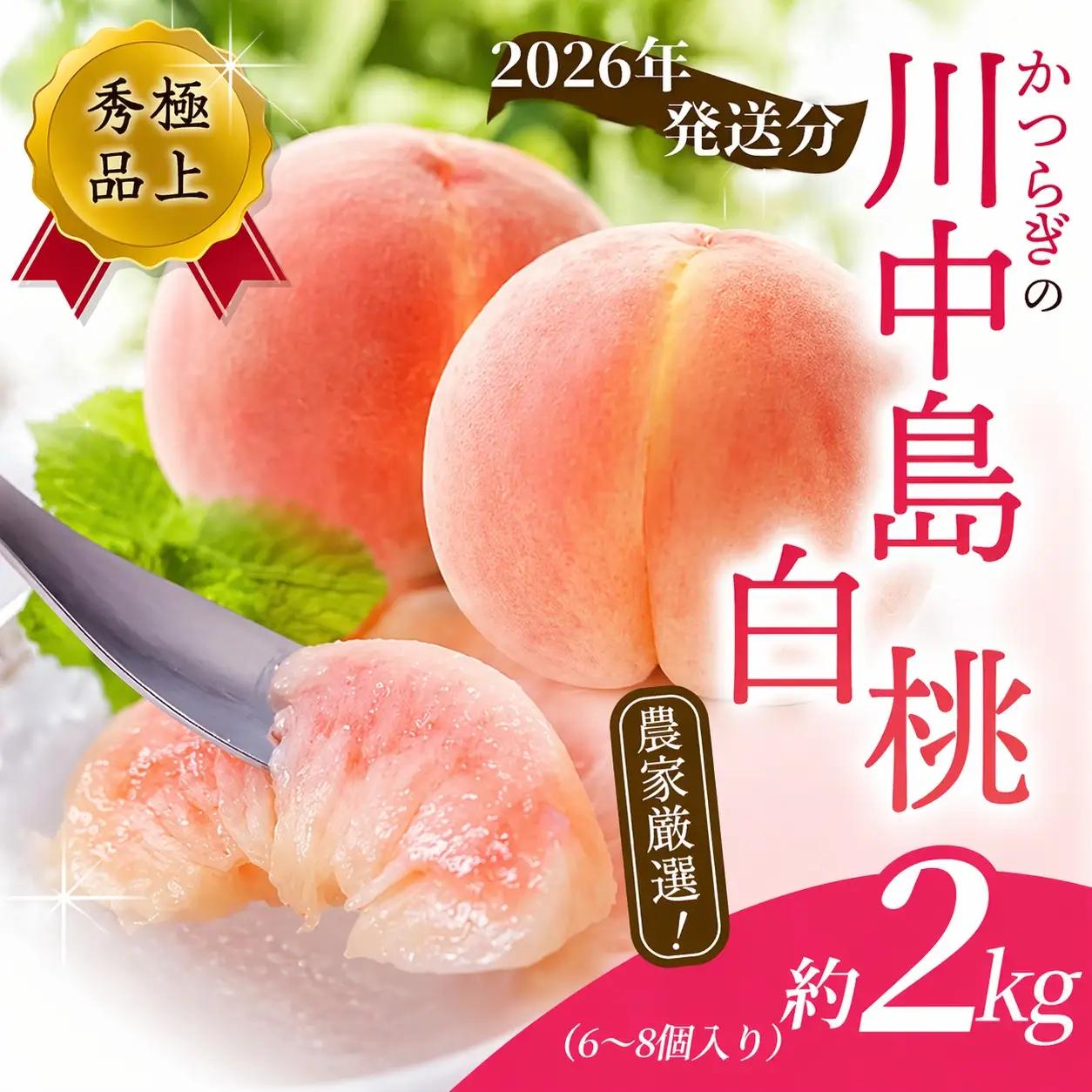 【予約受付】こだわり農家厳選 川中島白桃 和歌山産の桃 大玉特秀品 約2kg（6個~9個） 【2026年7月末頃～2026年8月末頃に順次発送予定】（お届け日指定不可）/ 桃 もも 川中島 白桃 フルーツ 果物 くだもの 【kgr011B】