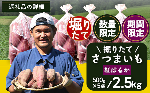 【期間限定！数量限定！】掘りたて さつまいも 紅はるか 2.5kg (500g×5袋) SSサイズ (自宅で簡単レシピ付き）FR-6 | 秋の味覚 2026年秋収穫 新物 さつまいも サツマイモ 感動サツマイモ 焼き芋 べにはるか 小ぶり 野菜 おやつ おかず お弁当 煮物 芋ごはん 味噌汁 産地直送 鹿児島県 南大隅町 株式会社フォレスト