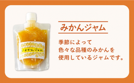 【朝食に、お料理におすすめ！】手作り 加工品 詰合せ セット（あんこ・ジャム・ハーブ塩）【佐賀西部コロニー白石作業所】 佐賀県 白石 [ICL001]