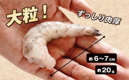至福の大粒むきえび　背ワタ処理済 2kg（1kg×2袋）　　[むきえび ムキエビ むきえび ブラックタイガー ムキエビ むきえび 大粒 ムキエビ むきえび 大型 ムキエビ むきえび ムキエビ むきえび
