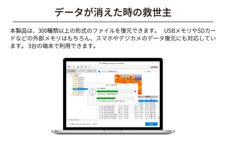 データ復元ソフト 救出データ復元 12 STANDARD カード版 | ﾊﾟｿｺﾝ ﾊﾟｿｺﾝｿﾌﾄ ﾊﾟｿｺﾝ ﾊﾟｿｺﾝｿﾌﾄ ﾊﾟｿｺﾝ ﾊﾟｿｺﾝｿﾌﾄ ﾊﾟｿｺﾝ ﾊﾟｿｺﾝｿﾌﾄ ﾊﾟｿｺ