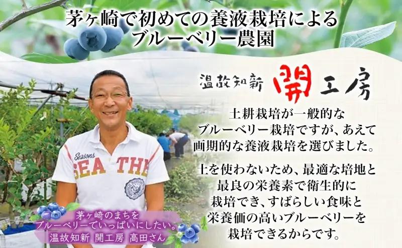 ブルーベリー農園 摘み取り券 収穫 太陽 養液栽培 美味 育つ ジャム バター 地場産  新鮮 卵 スプレッド 濃厚 風味 温故知新 開工房 農園 果実 摘み取り 完熟 農園 あっさり 食パン 採れた