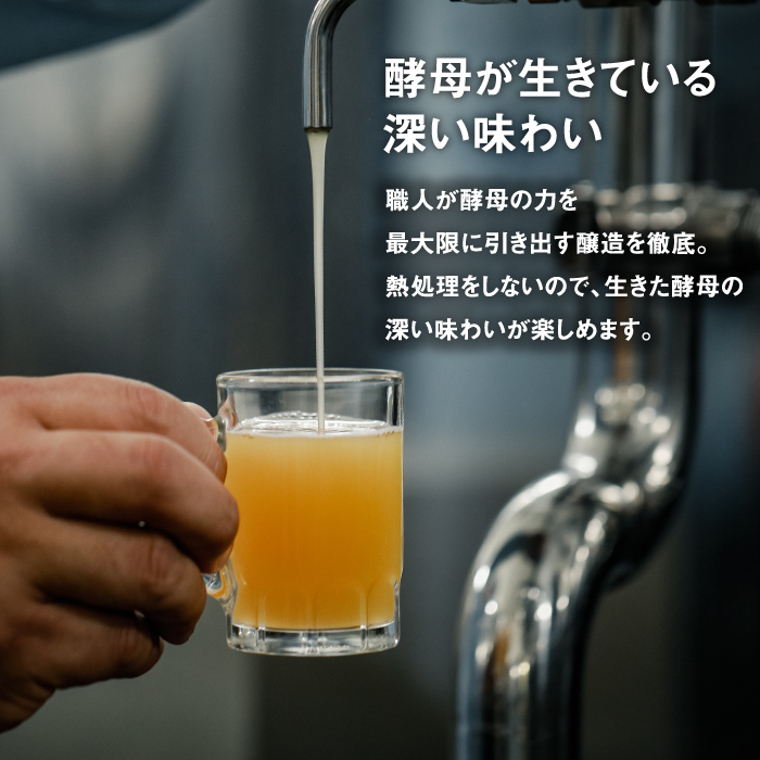 あわぢびーる飲み比べ６本セット　　[クラフトビール 飲み