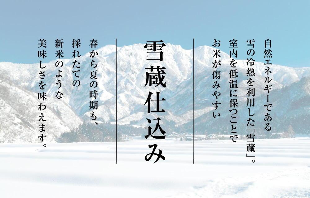 【2025年10月発送　先行受付】南魚沼産こしひかり無洗米2kg×全6回