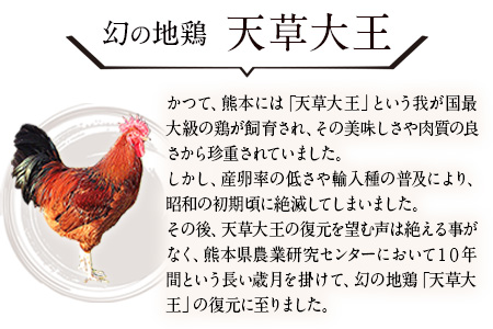天草大王 バーベキュー用カット肉 1kg 熊本県産 【幻の地鶏】葦北郡 津奈木町 もも肉 むね肉《60日以内に出荷予定(土日祝除く)》