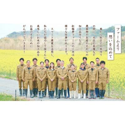 ふるさと納税 南相馬市 天のつぶ「新世代」 白米 10kg | 令和7年産 米10kg 精米 米10キロ 紅梅夢ファーム |  | 03