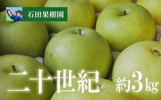 
            No.2739梨　二十世紀　3kg【2025年発送　先行予約】
          