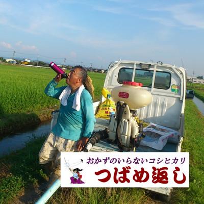 ふるさと納税 燕市 【8年産新米 先行予約】おかずのいらないコシヒカリ「つばめ返し」白米 20kg |  | 02