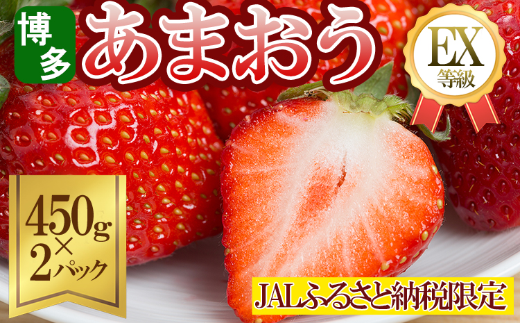 《JALふるさと納税限定》エコファーマー認定農家直送！福岡県産あまおうEXギフト【約450ｇ×2パック】 2Z7-S