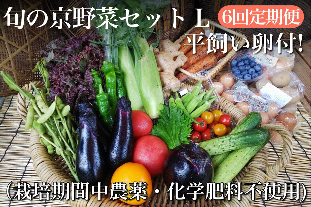 
【6回定期便】＜アスカ有機農園＞旬の京野菜セットL（平飼い卵付）＊毎月お届け全6回
《野菜定期便 野菜詰め合わせ 野菜セット 京野菜 旬の野菜 新鮮野菜 有機野菜 無農薬野菜 卵》
