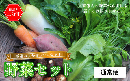 野菜 おまかせ セット 3～4種 旬の野菜 詰め合わせ【 野菜 】