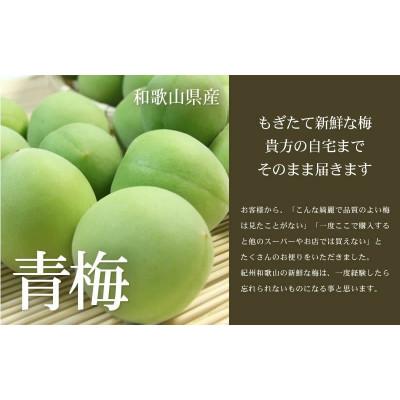 ふるさと納税 上富田町 厳選南高梅 フレッシュ青梅(生梅)【緑】5kg 特大サイズ 朝取り手選別 南高梅 梅酒用 うめ |  | 01