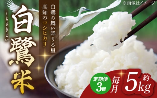 【3回定期便】 R7年度産 特別栽培米 農薬節減！ 白鷺米 コシヒカリ 各約5kg 合計約15kg / 高知 米 お米 精米 　【津ノ宮農園】[ATBV0012]
