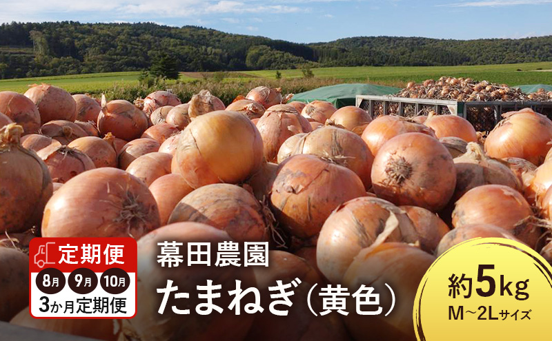 【2025年先行受付】［3か月定期便］富良野産 黄色 玉ねぎ 約5kg（約15～20玉） M～2Lサイズ　野菜 新鮮 直送 黄玉ねぎ 玉葱 玉ネギ 道産 北海道 富良野市 ふらの 幕田農園