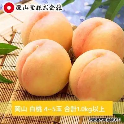白桃 岡山県産 白桃【4～5玉 計1.0kg以上】【先行予約】