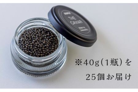 THE・CAVIAR(ザ・キャビア)　1,000g　TF0489-P00066