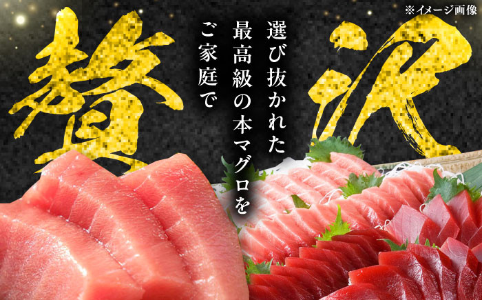 まぐろ マグロ 鮪 本マグロ 本まぐろ 中トロ 大トロ 刺身 刺し身 海鮮 海鮮丼 冷蔵 新鮮 鮮魚 直送 赤身 トロ とろ
